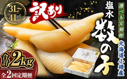 【2回定期便】【訳あり】 塩水 数の子 北海道小樽産 1kg(500g×2P) かずのこ 4Lサイズ 魚卵 お節 おせち