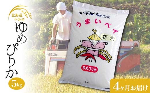 【4ヶ月連続お届け】今金産 ゆめぴりか 5kg お米 北海道 今金町産 米 白米 米俵 クラウドファンディング 実施中 GCF F21W-436 1837274 - 北海道今金町