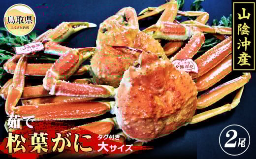 F24-015 【特撰】茹で 松葉かに タグ付き 大サイズ 2尾入【期間・数量限定】 587585 - 鳥取県鳥取県庁
