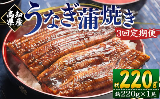 国産 うなぎ 定期便 3回 約220g １尾 蒲焼き 高知県産 養殖 魚介 国産 海鮮 魚 かばやき 鰻 ウナギ 惣菜 おかず お手軽 加工品 加工食品 冷凍 Wfb-0058 1775682 - 高知県香南市