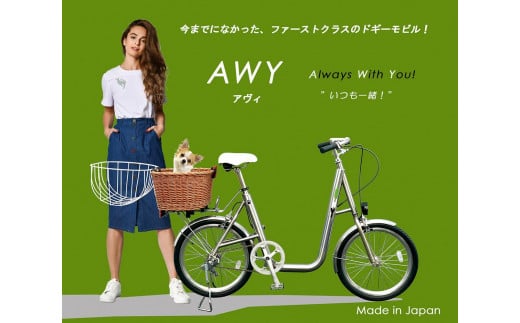 AWY (アヴィ)　20インチ　自転車