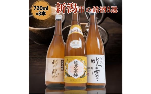 日本酒 飲み比べセット 越後銘門酒会 新潟市の銘酒 飲み比べ 720ml×3本 （越乃寒梅 越乃風雪 越路吹雪）N723A 新潟 セット 辛口 ギフト 正月 年越し 1803934 - 新潟県新潟市