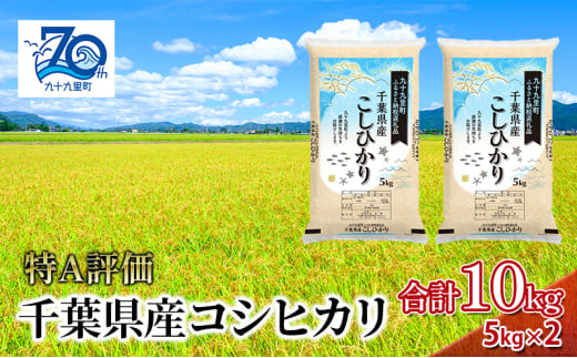 米 千葉県産コシヒカリ5kg×2 こしひかり セット お米 特A評価 精米 ふっくら もっちり 粘り気 旨み 香り ツヤ やわらかい 歯ごたえ 九十九里町 千葉県[№5743-0546] 1801346 - 千葉県九十九里町