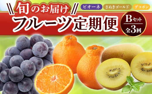 【旬のお届け フルーツ定期便 3回】Bセット ピオーネ 約1.2kg さぬきゴールド 約2.7kg  デコポン約5kg  F5J-794