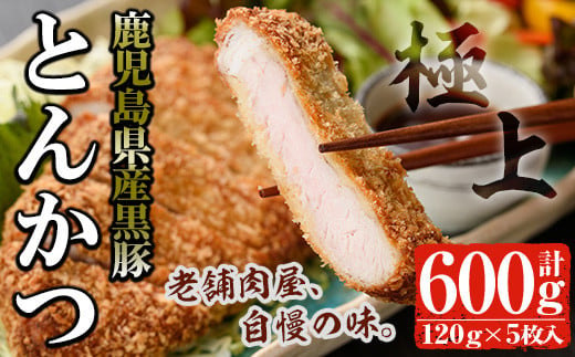 鹿児島県産 黒豚ロースとんかつセット(120g×5枚・計600g) 国産 黒豚 豚肉【佐多精肉店】A25-v01