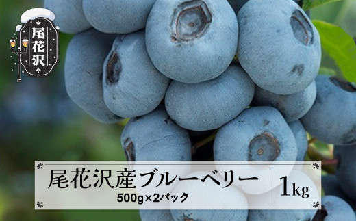 尾花沢産とれたて完熟ブルーベリー 生果実 1kg 500g×2パック 7月中旬~下旬頃発送 令和7年産 2025年産 山形県 ブルーベリー 果物 フルーツ 産地直送 kb-bbxxx1000