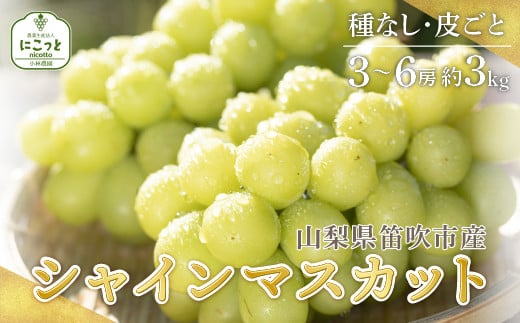 ＜25年発送先行予約＞シャインマスカット 3〜6房 約3.0kg ※沖縄県・離島は発送不可 097-014 | シャインマスカット 発送 3kg にこっと 笛吹市 山梨県 フルーツ 果物 ぶどう 葡萄 種無し 皮ごと おすすめ シャインマスカット 発送 贈答 ギフト 甘い 産地 期間限定 笛吹市 シャインマスカット 笛吹 葡萄 ぶどう 人気 国産 097-014 240561 - 山梨県笛吹市