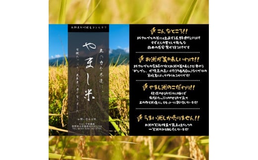 長野県松川村のふるさと納税 *【令和7年度産先行予約】やまし平林農園 コシヒカリ 定期便( 約 5kg × 3回 ) | 米 お米 コメ こめ 精米 白米 はくまい コシヒカリ こしひかり 定期便 3回 長野県 松川村 信州