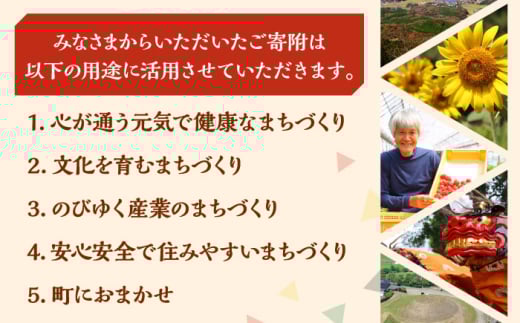 福岡県桂川町のふるさと納税 おかず明太子　海セット（いか明太子、数の子明太子、いわし明太子） ▼ 辛子明太子 めんたいこ 本場 珍味 おつまみ おかず 詰め合わせ 桂川町/株式会社 海千[ADAR004]