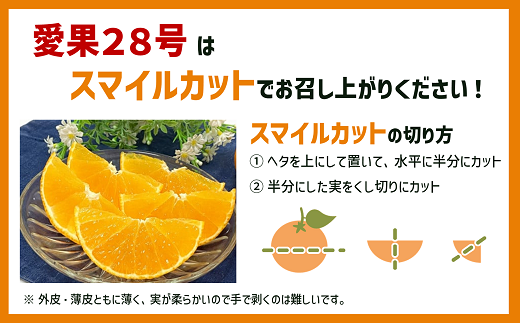 みかん 愛媛 愛果28号（ハウス栽培）5kg 家庭用 サイズミックス