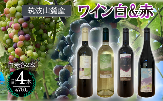 つくば市 筑波山麓産ワイン4本セット　ビーズニーズヴィンヤーズ／Bee's Knees Vineyards【 ワイン お酒 酒 果実酒 ブドウ 白ワイン 赤ワイン 日本ワイン 国産ワイン ワイン専用ブドウ品種  国産 つくば市産 茨城県産 飲み物 飲料 セット 人気 おすすめ 茨城県 つくば市 】 1856797 - 茨城県つくば市