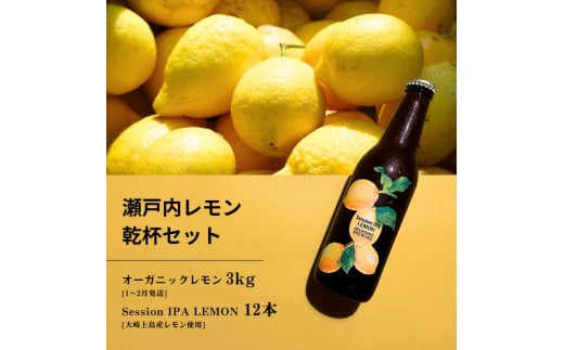 オーガニックレモン 3kg(1~2月発送) / 大崎上島のクラフトビール Session IPA Lemon 12本 オーガニック 有機レモン 有機JAS れもん クラフトビール 地ビール 爽快 ホップ 晩酌 国産 瀬戸内 広島 免疫力向上 健康 ビタミンC クエン酸 抗酸化 ソーダ 炭酸水 1807098 - 広島県大崎上島町