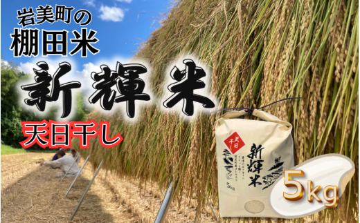 棚田で作った新輝米（コシヒカリ）天日干し ５kg｜鳥取 岩美 お米 米 棚田 横尾棚田 【31011】 1966290 - 鳥取県岩美町