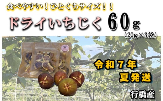 AO-021_【予約・令和７年夏発送】乾燥蓬莱いちじく60ｇ（20g×3袋） 1856747 - 福岡県行橋市