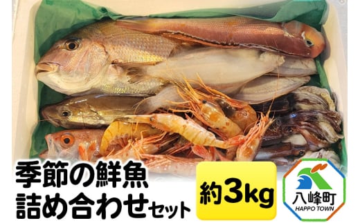 季節の鮮魚詰め合わせセット 約3kg 高級魚 鮮度抜群 1807092 - 秋田県八峰町