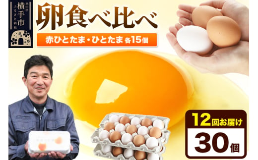 《定期便12ヶ月》赤ひとたま 15個・ひとたま 15個 計30個（業務用） 1801280 - 秋田県横手市