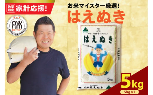 【数量限定 家計応援】《 新米 》【 令和6年産 新米 】 はえぬき 5kg ( 5kg × 1袋 ) 2024年産  おうちごはん応援米 2024年産 精米 米 白米 ブランド米 お米マイスター 山形県 米沢市 送料無料