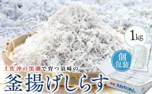 鮮度抜群 海の玄米 子供用 釜揚げ シラス 1kg 冷凍 小分け 個包装 大容量 しらす 海の玄米 海鮮 魚介 惣菜 おかず ご飯のお供 晩ごはん 弁当 白州 便利 ふりかけ しらす ちりめん じゃこ しらす丼 お茶漬け 人気 ふるさと納税 MS012_x 315451 - 高知県須崎市