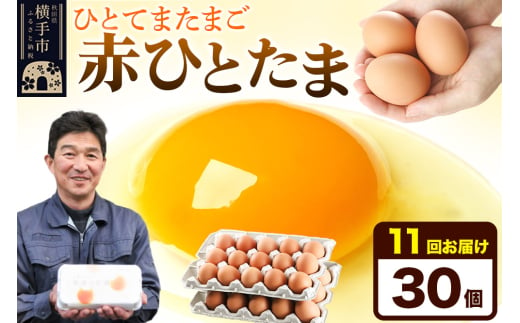 《定期便11ヶ月》赤ひとたま 30個（業務用） 1801246 - 秋田県横手市