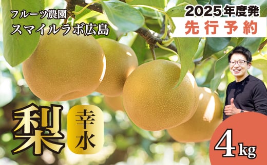 【先行受付】幸水（こうすい）4kg 梨 ナシ なし 新鮮 産地直送 広島県三原市【2025年8月中旬以降順次発送】 059009 1854748 - 広島県三原市