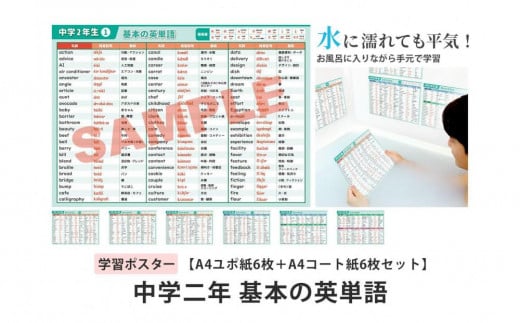 学習ポスター　英語　中学二年　基本の英単語【A4ユポ紙6枚＋A4コート紙6枚セット】 1809637 - 愛知県名古屋市