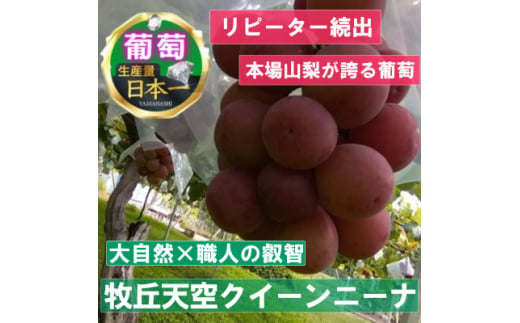 ＜2025年先行受付＞10月中旬より発送「幻の牧丘天空クイーンニーナ」約1kg(2～3房)【1579788】 1833893 - 山梨県山梨市