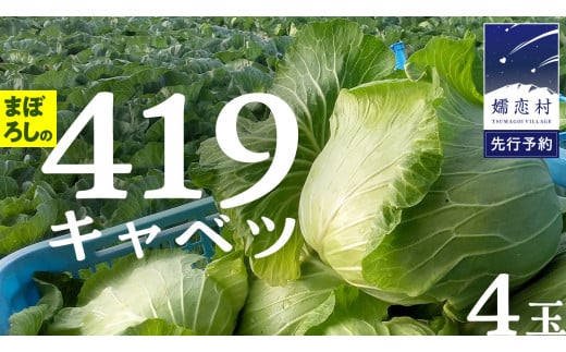 【 2025年 7月中旬 発送開始 】 まぼろしの419キャベツ 4玉 きゃべつ 嬬恋村産キャベツ 羽生田売店 幻のキャベツ419 産地直送 期間限定 先行予約 人気 朝採り 通販 お取り寄せ 関東 群馬 出荷時期限定 先行受付 [AL006tu]  1330094 - 群馬県嬬恋村