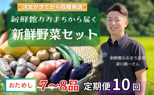 【定期便/10か月】注文が来てから収穫発送！収穫したばかりの新鮮野菜セットお試しコース 《7～8品》  季節のお野菜 おまかせ お楽しみ 獲れたて産地直送 旬 鍋 冬野菜 ベジタブル ヘルシー 健康 詰め合わせ 一関市 1839520 - 岩手県一関市