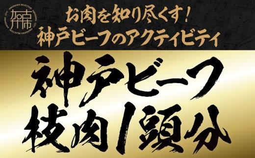 [時期限定]お肉を知り尽くす!牛肉(神戸ビーフ)のアクティビティ(1泊2日)[ 肉 牛肉 見学 体験 パーティー オークション 競り 参加型 ][2499L00631]