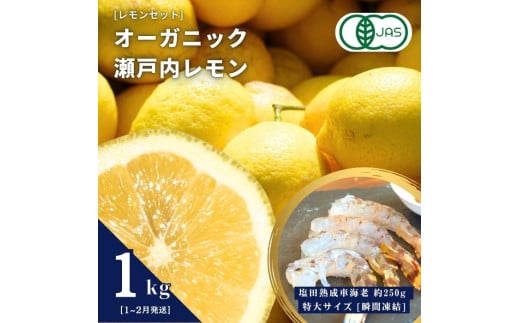 オーガニック瀬戸内レモン 1kg(1~2月発送) / 塩田熟成活車海老 特大サイズ 250g(瞬間凍結) オーガニック 有機レモン 有機JAS 果汁100% レモン えび エビ エビフライ 晩酌 国産 瀬戸内 濃厚 甘さ控えめ 免疫力向上 健康 ビタミンC クエン酸 抗酸化 ソーダ 炭酸水