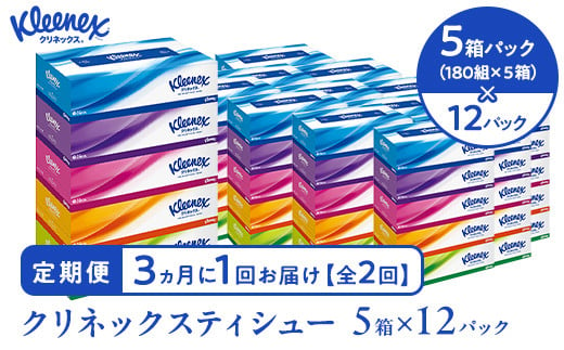 【3ヵ月に1回 全2回お届け】クリネックスティシュー　5箱パック（180組ｘ5箱パック）×12パック 定期便 【配送不可地域：沖縄県・離島】 【 ティッシュ ボックスティッシュ ティシュー ダブル ティッシュペーパー 日用品 常備品 生活用品 まとめ買い】