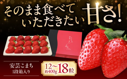 【12月20日～3月20日順次発送】水素水で育ったいちご「安芸こまち」1段箱入り（約400g）（12粒〜18粒入） 低農薬 苺 イチゴ 高級 フルーツ 果物 ベリー ギフト 贈答 三次市/田中電機工業 [APBI002] 1810503 - 広島県三次市