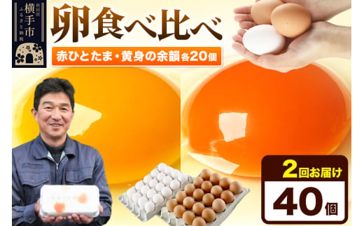 《定期便2ヶ月》赤ひとたま 20個・黄身の余韻 20個 計40個（業務用） 1801281 - 秋田県横手市