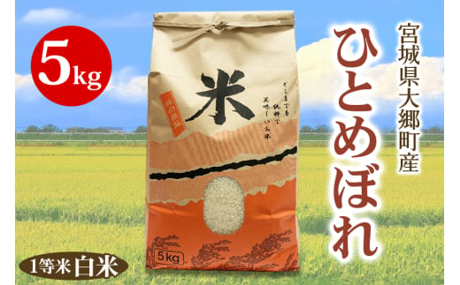 《令和6年産》宮城県 大郷町産 1等米 ひとめぼれ 白米 5kg×1袋｜2024年 ひとめぼれ 米 お米 こめ 精米 宮城米 道の駅 [0224]