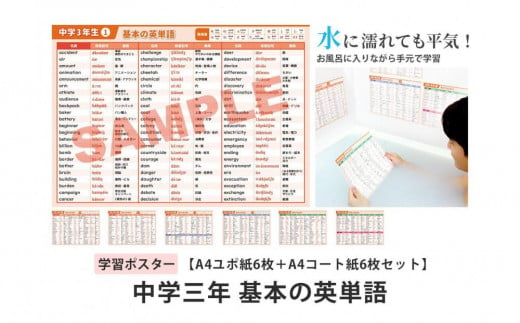 学習ポスター　英語　中学三年　基本の英単語【A4ユポ紙6枚＋A4コート紙6枚セット】 1809638 - 愛知県名古屋市