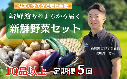 【定期便/5か月】注文が来てから収穫発送！収穫したばかりの新鮮野菜セット 《10品以上保証》 季節のお野菜 おまかせ お楽しみ 獲れたて産地直送 旬 鍋 冬野菜 ベジタブル ヘルシー 健康 詰め合わせ 一関市 1839524 - 岩手県一関市