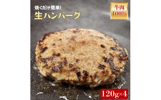 M04-2006-4_オリーブ牛100％ハンバーグ120g×4   1425050 - 香川県三豊市