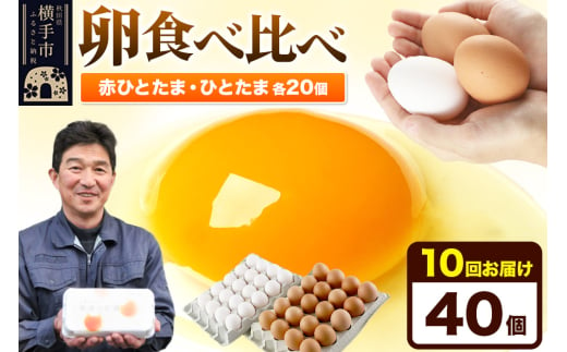 《定期便10ヶ月》赤ひとたま 20個・ひとたま 20個 計40個（業務用） 1801300 - 秋田県横手市