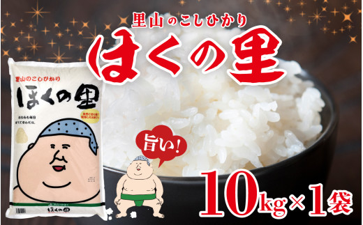 里山のこしひかり ほくの里 10kg 716051 - 石川県かほく市