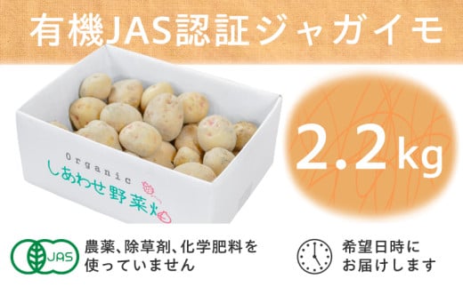 ２１３２　有機JAS認証 有機ジャガイモ 2.2㎏～2.7㎏・発送月 春ジャガ（6月15日～8月31日）:秋ジャガ（11月25日～2月28日） しあわせ野菜畑 1771865 - 静岡県掛川市