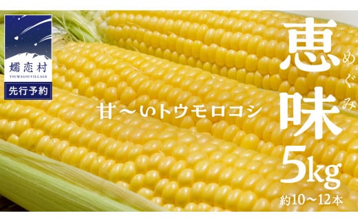 【 2025年 8月上旬 発送開始 】  甘～いトウモロコシ 恵味 5kg 約10～12本 とうもろこし 産地直送 羽生田売店 期間限定 先行予約 人気 朝採り お取り寄せ 関東 群馬 先行受付  [AL005tu]  1330095 - 群馬県嬬恋村