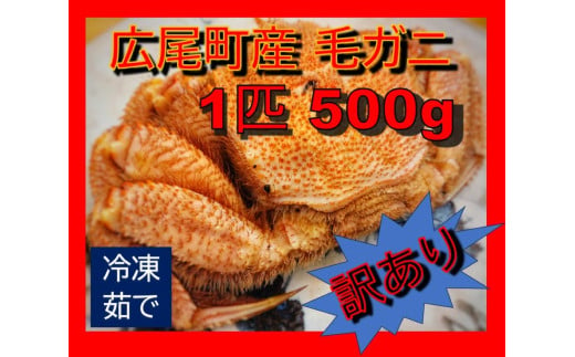 毛ガニ500g（冷凍茹で）【訳あり】(0068) 1810095 - 北海道広尾町