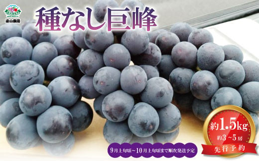 [No.5657-3798]【先行予約】2025年産 種なし巨峰 約1.5kg (約3～5房) 《遠山農園》■2025年発送■※9月上旬頃～10月下旬頃まで順次発送予定 1061623 - 長野県須坂市