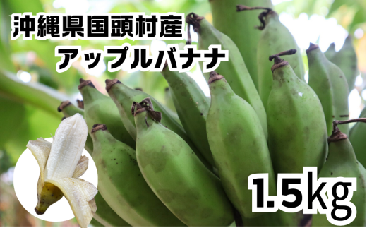 先行予約2025年発送【希少】国産アップルバナナ1.5㎏ 1810071 - 沖縄県国頭村