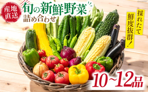 新鮮 「旬の野菜・フルーツ」 詰め合わせ セット（10品〜12品）/ 野菜 やさい 野菜セット やさいセット 春野菜 夏野菜 秋野菜 冬野菜 旬新鮮 / 南島原市 /長崎県農産品流通合同会社 [SCB094] 1803993 - 長崎県南島原市