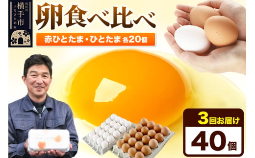 《定期便3ヶ月》赤ひとたま 20個・ひとたま 20個 計40個（業務用） 1801293 - 秋田県横手市