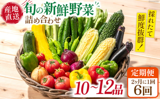 【6回定期便】2ヵ月に1回 新鮮 「旬の野菜・フルーツ」 詰め合わせ セット（10品〜12品）/ 野菜 定期便 やさい 定期便 野菜セット やさいセット 春野菜 夏野菜 秋野菜 冬野菜 旬新鮮 / 南島原市 /長崎県農産品流通合同会社 [SCB096] 1803995 - 長崎県南島原市