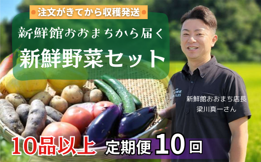 【定期便/10か月】注文が来てから収穫発送！収穫したばかりの新鮮野菜セット 《10品以上保証》 季節のお野菜 おまかせ お楽しみ 獲れたて産地直送 旬 鍋 冬野菜 ベジタブル ヘルシー 健康 詰め合わせ 一関市 1839528 - 岩手県一関市