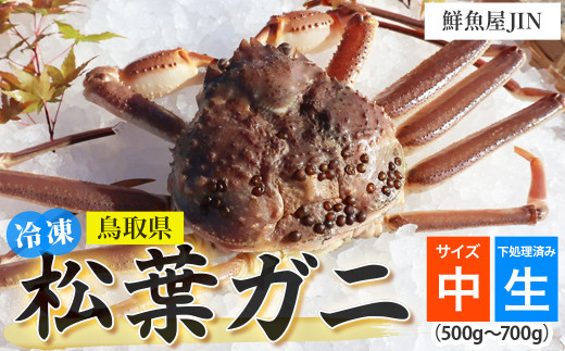 【鮮魚屋JIN】訳あり 冷凍 生松葉ガニ（中サイズ 500g~700g）下処理済み ハーフポーション 真空冷凍 カニ かに 冷凍松葉ガニ 松葉がに 松葉ガニ ズワイガニ ずわいがに 冷凍ガニ 冷凍かに 足欠け 足1本なし 1641296 - 鳥取県倉吉市