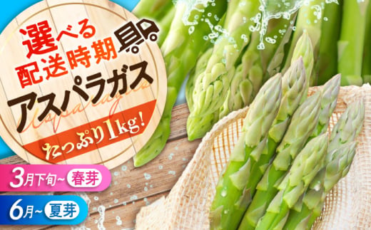 三次の恵みをおふくわけ 朝採れ 夏芽アスパラガス（約1kg）とれたて アスパラ 旬 野菜 三次市/福分アスパラ [APAU002] 1836973 - 広島県三次市